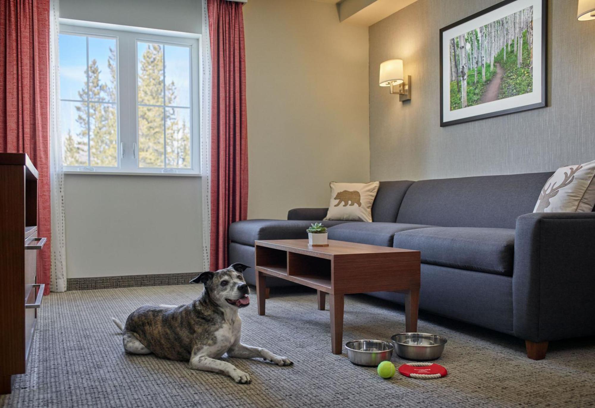 Residence Inn By Marriott ברקנרידג' מראה חיצוני תמונה